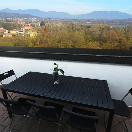 Motti Quadri ארונה